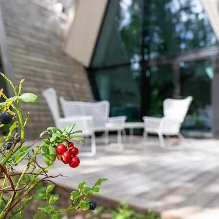 Kuuse Elamusmajad Villa *