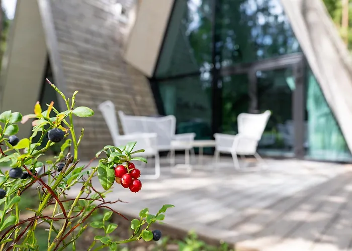 Kuuse Elamusmajad Villa *